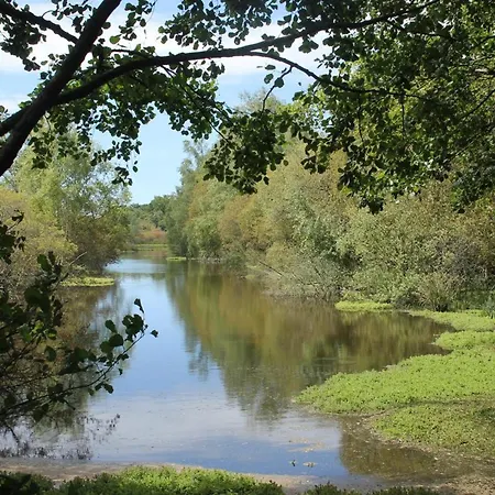 De Charme Au Bord De La Suisse Normande - Confort, Calme Et Nature - Fr-1-497-30 Le Menil-de-Briouze